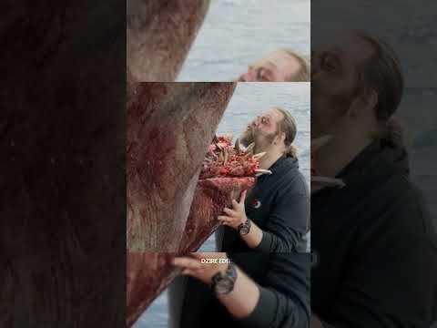 The Meg best scene||Shark attack scene 😬 Jason Statham #viral #shorts #trending