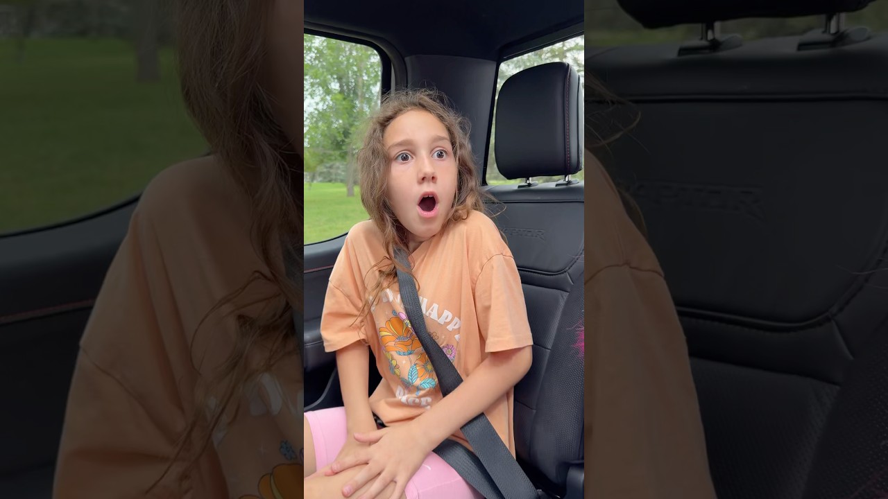 Always Fasten Your Seat Belt ๐