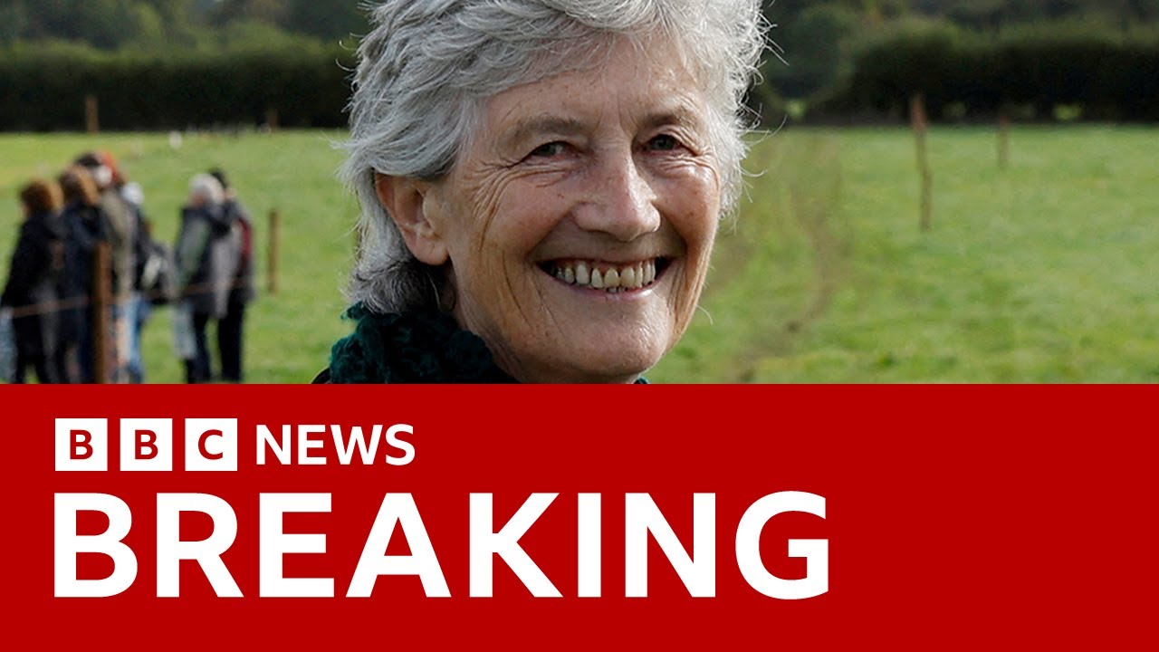 Catherine Connolly Nears Victory in Irish Presidential Election ๐ณ๏ธ