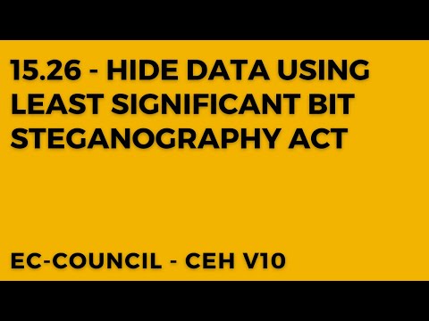 The LSB Steganography Act: Understanding the Impact on Data Hiding and Security