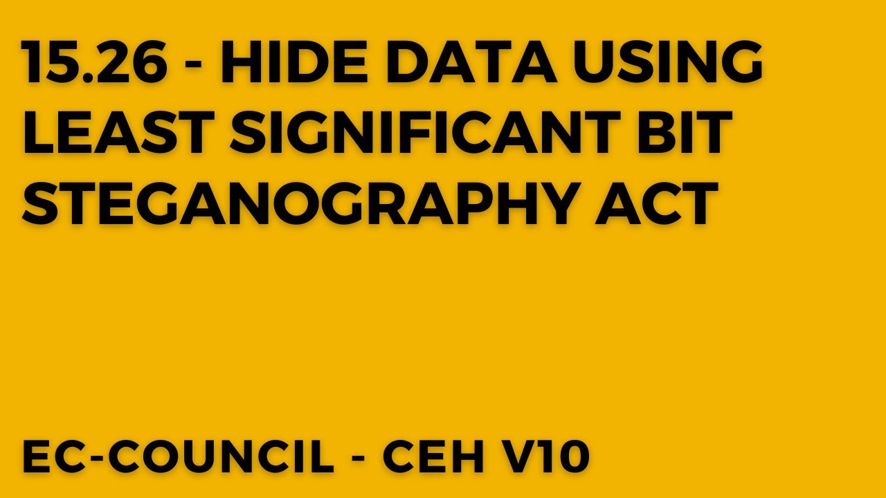 The LSB Steganography Act: What It Means for Data Privacy & Security 🔐