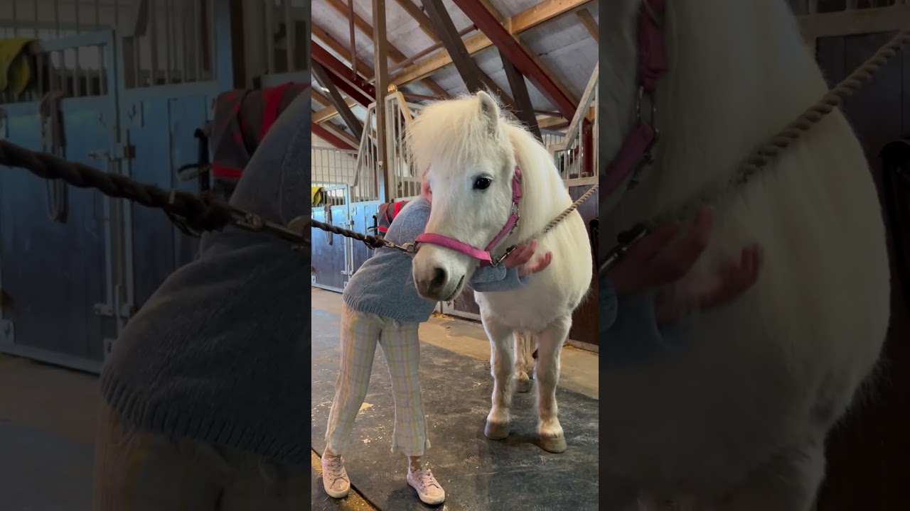 Surprising Our Daughter with a New Pony 🐴
