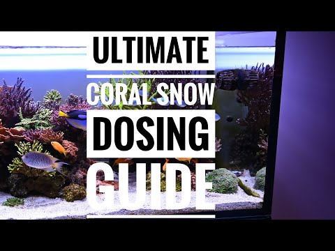 Ultimate Coral Snow Dosing Guide