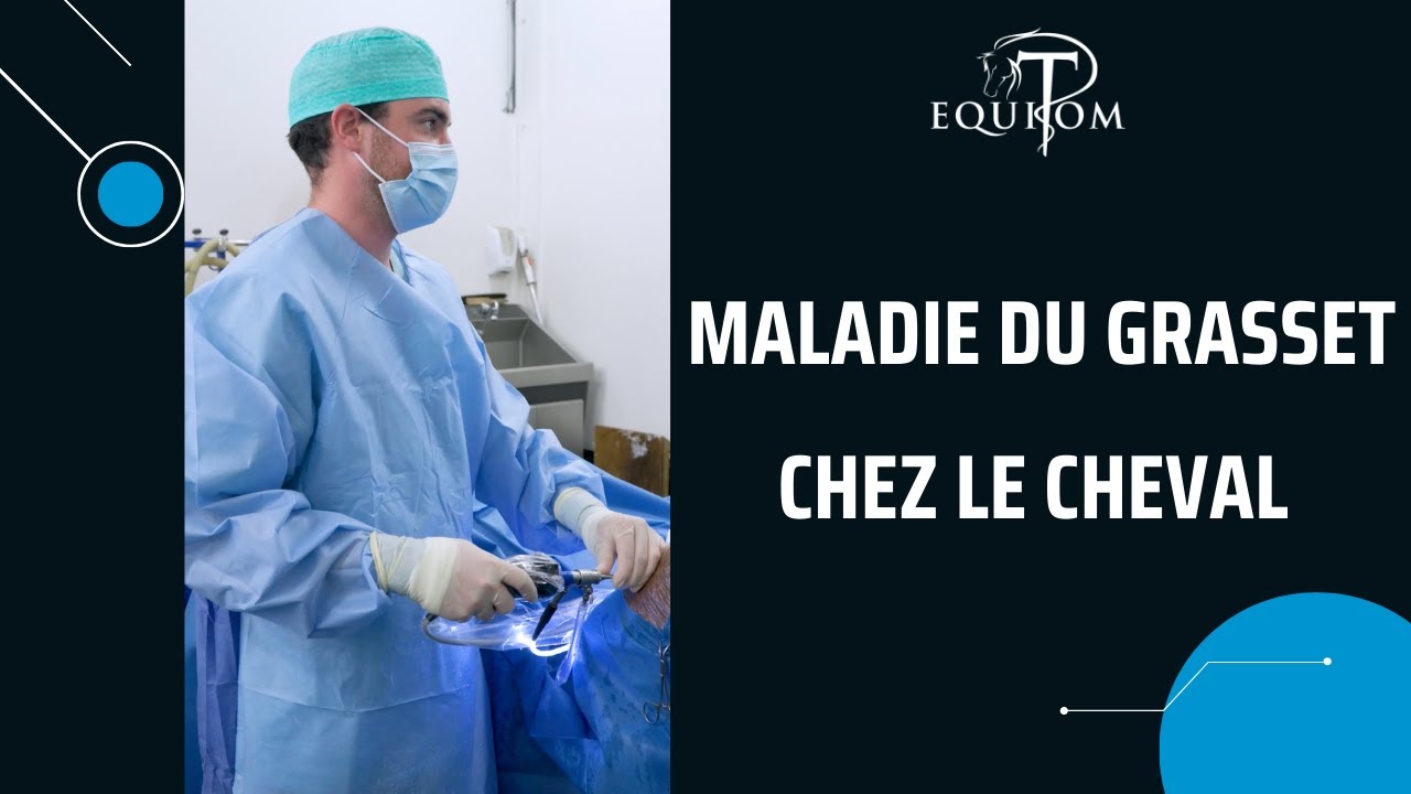 Maladie du Grasset chez le Cheval : Causes, Symptômes et Préventions 🇫🇷