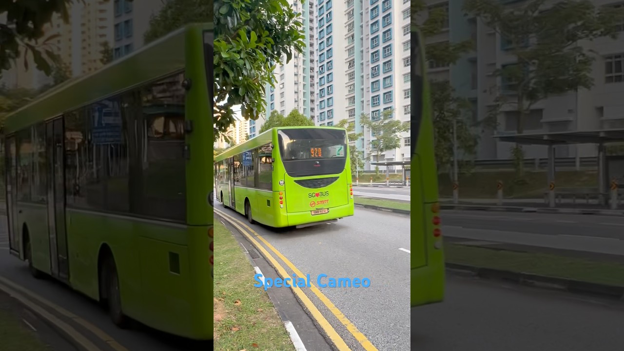 Rare Mercedes-Benz OC500LE Cameo on Service 920 🚍