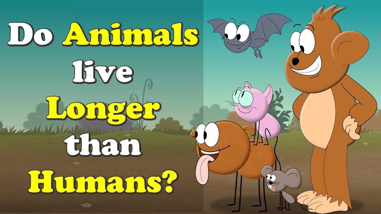 Do Some Animals Live Longer Than Humans? 🐾