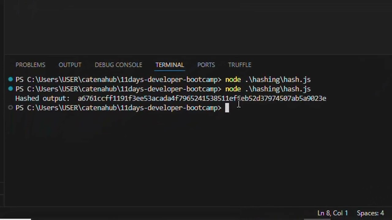 Day 3 of Developer Bootcamp: Mastering Cryptography, Hashing, and Salting in Blockchain π