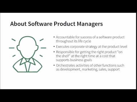 What is a software product manager?