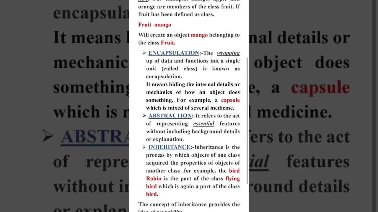 Master the Basics of Object-Oriented Programming in C++ 📘