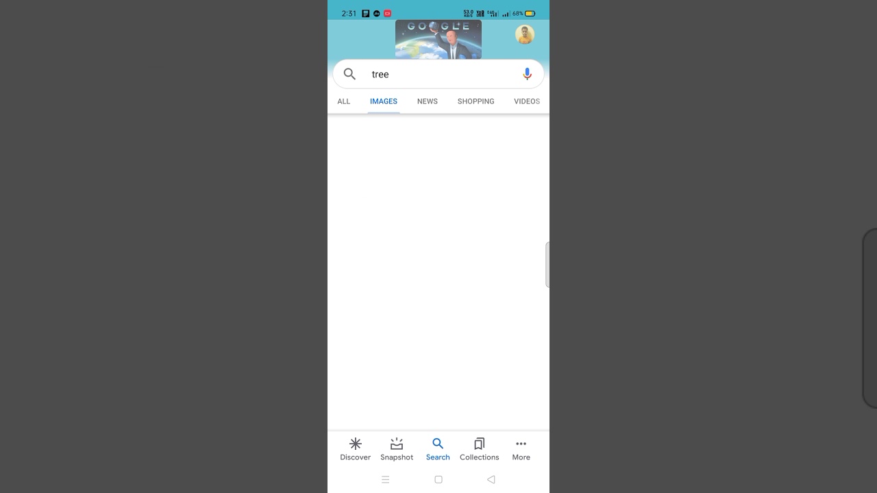 Download Images from Google Easily