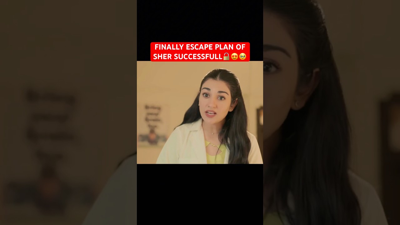 Sher 20 Drama Update | Danish Taimoor & Sarah Falak 🎭