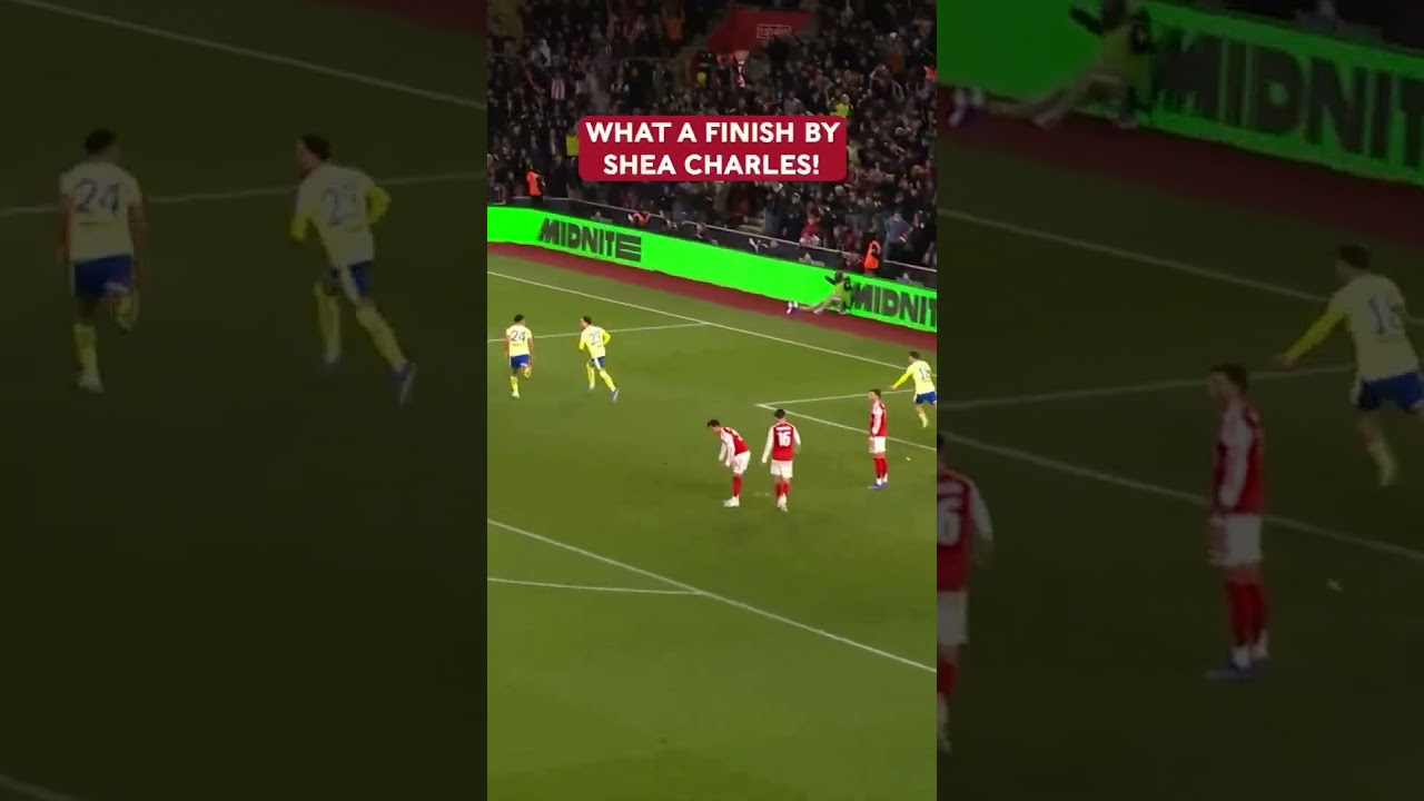 Southampton's Winning Goal Against Arsenal ⚽️