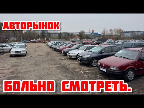 АВТОРЫНОК На эти цены БОЛЬНО СМОТРЕТЬ. Ноябрь 2025😱