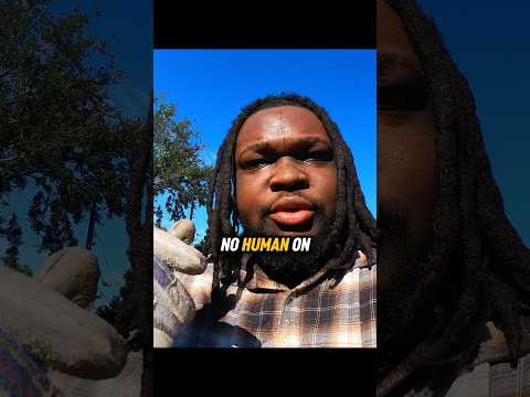 The Forbidden Fruit 🍊