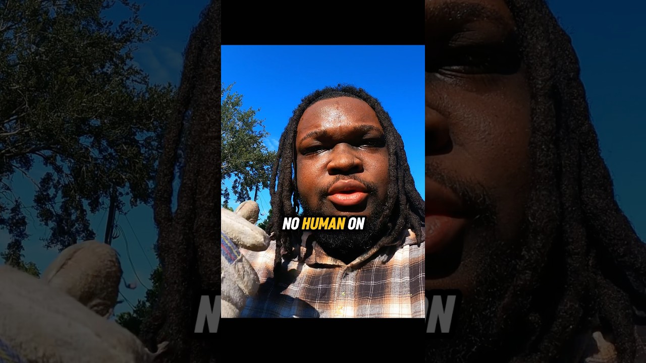 The Forbidden Fruit: Unlocking Its Secrets 🍊