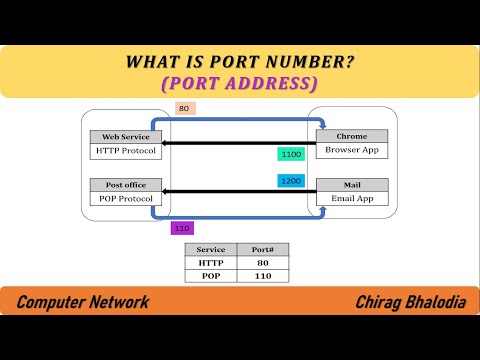 What is port address in networking | Port Number | Purpose of Port Address