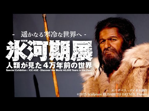 【国立科学博物館公式】なぜ絶滅し、なぜ生き延びたか…特別展「氷河期展 〜人類が見た4万年前の世界〜」篠田館長解説動画