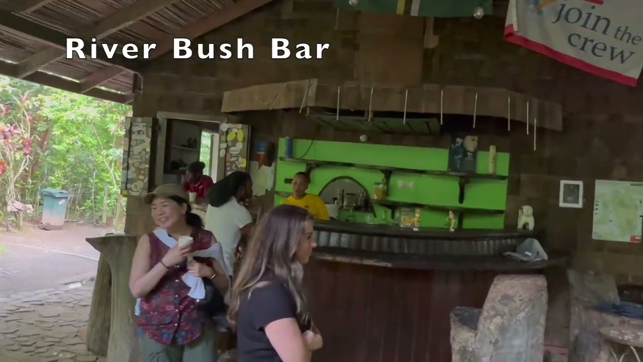 Dominica in 90 Seconds 🌴