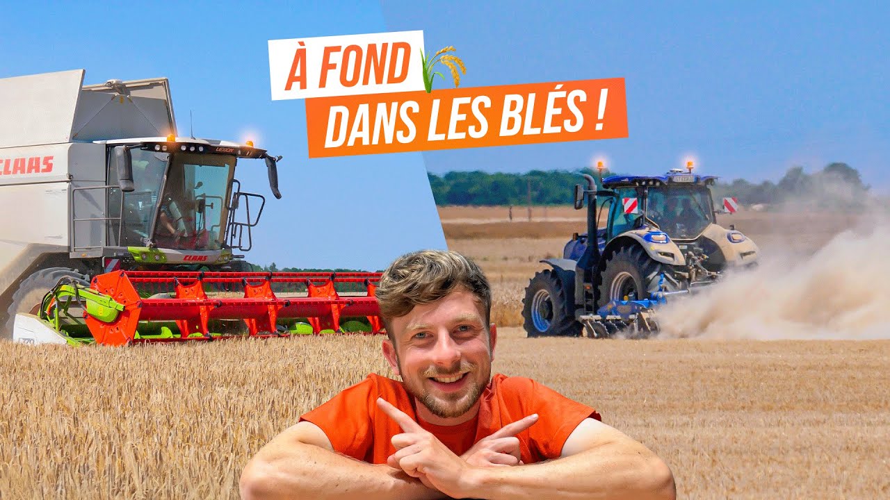 Début de la Moisson 2025 avec la Claas Lexion 7500 🚜