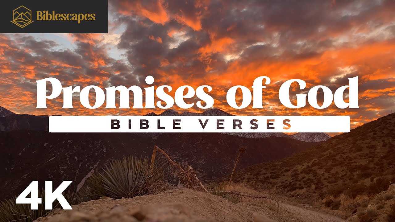 God's Promises: Verses for Rest & Reassurance ✨