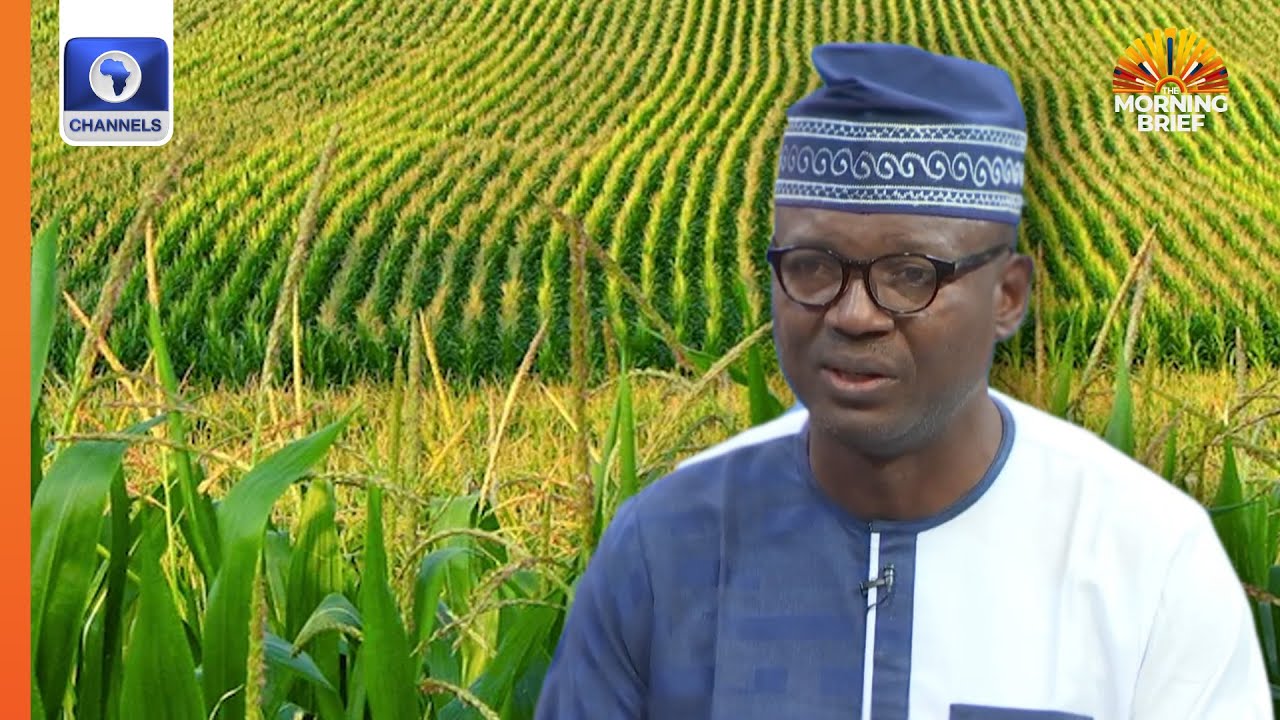 GMO Foods: Potential Risks to Human Health ⚠️