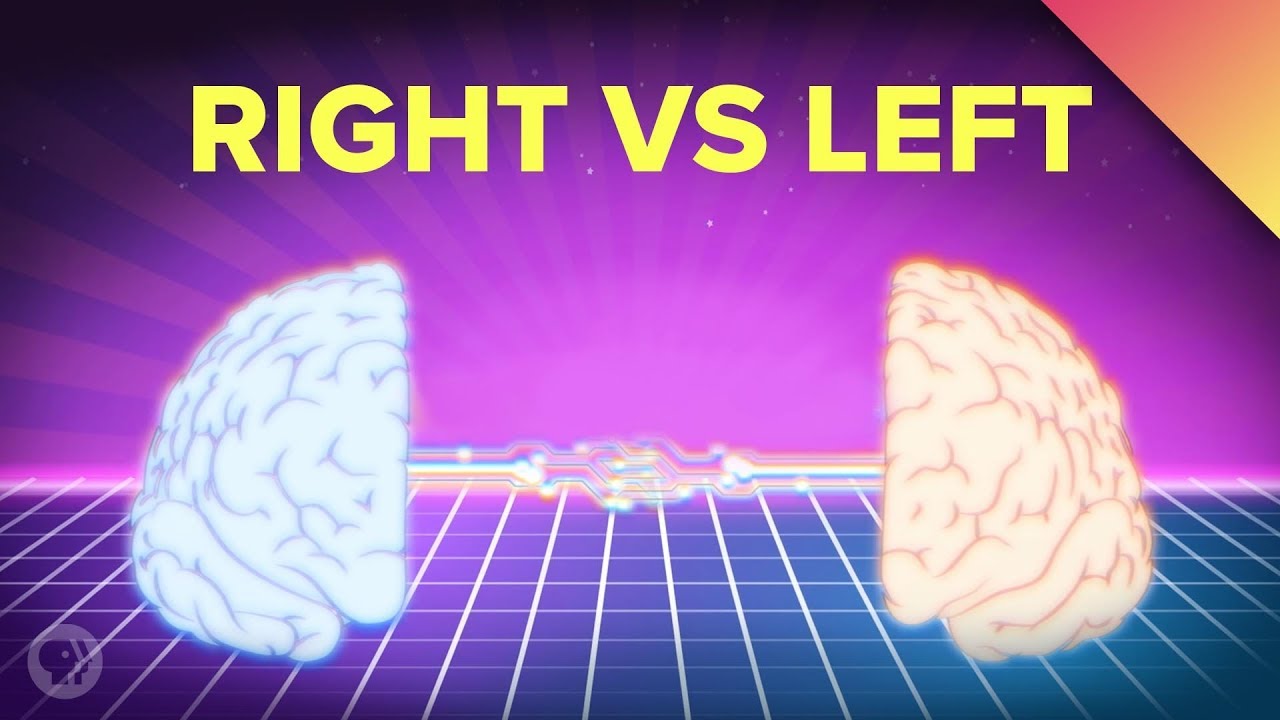 Do You Have Two Brains? 🧠Discover the Truth