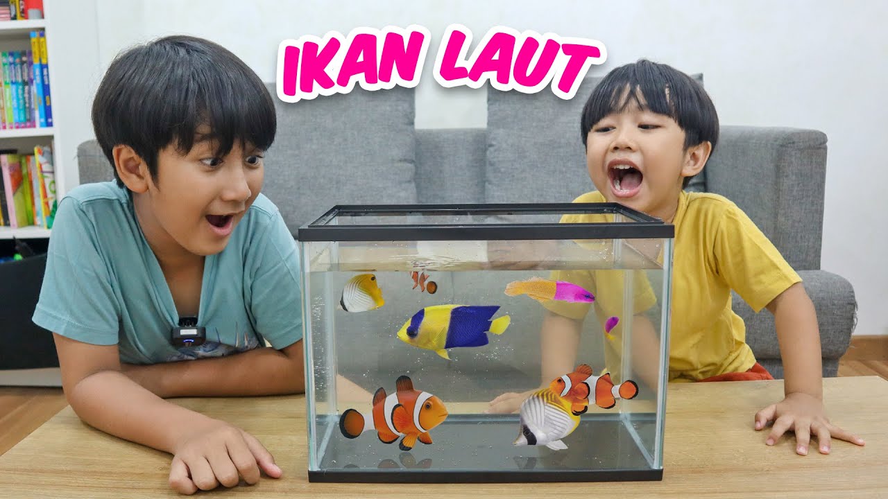 Ziyan & Kyo Beli Ikan Laut 🐟