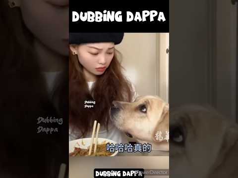 Venaaam 🤣 #shorts #dog #shortsfeed #doglover #dogs #funnyanimals #animals #dubbingdappa #dubbing