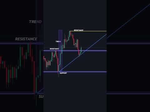 The Best Forex Trading Tips for Beginners