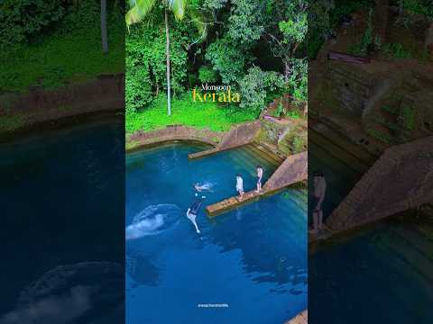 Villages of kerala in monsoon #trending #trendingtopic #viralshorts