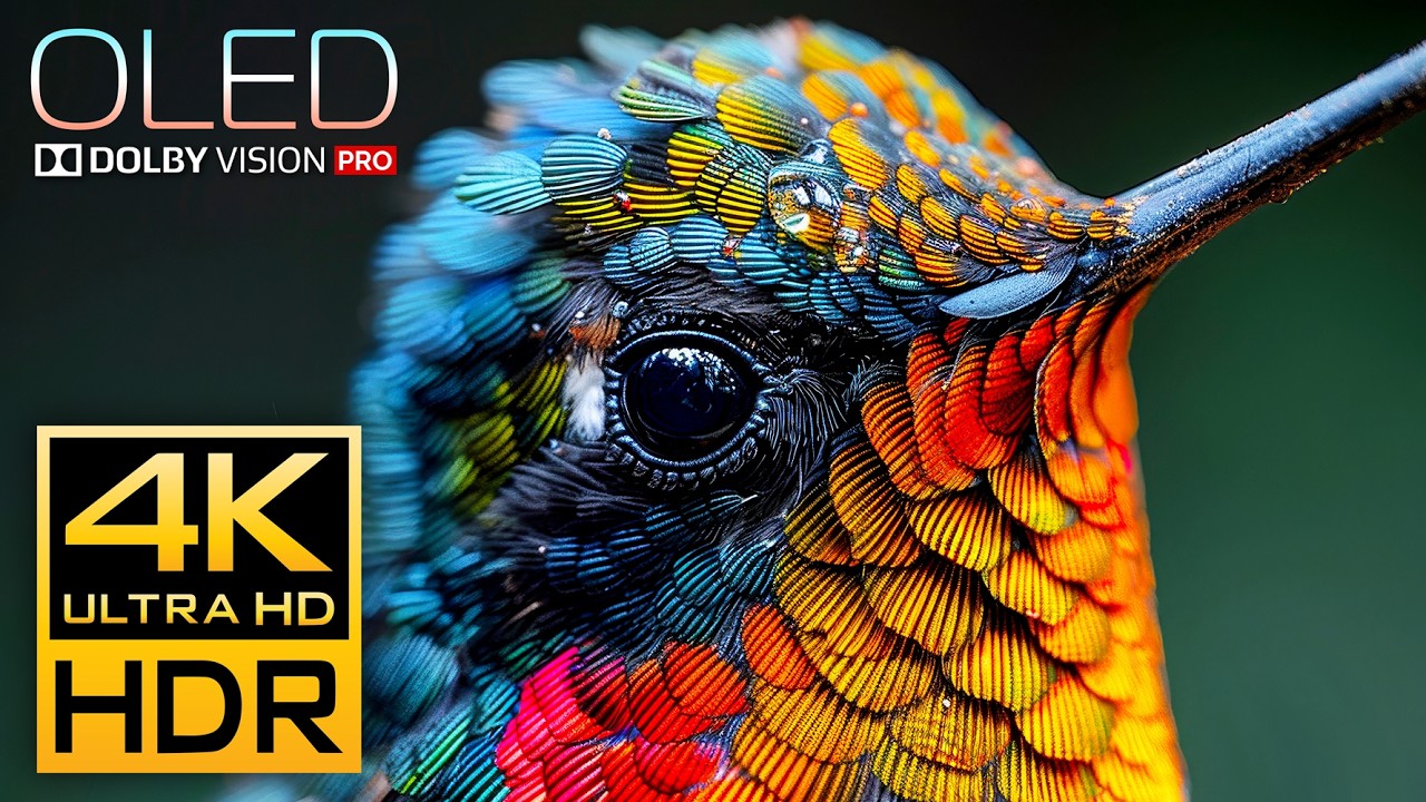 Stunning 4K HDR 120fps OLED Demo Video with Dolby Vision 🌟