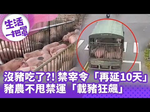 《生活一把罩》豬肉供應受限 禁宰令延長10天,豬農抗拒禁運潮