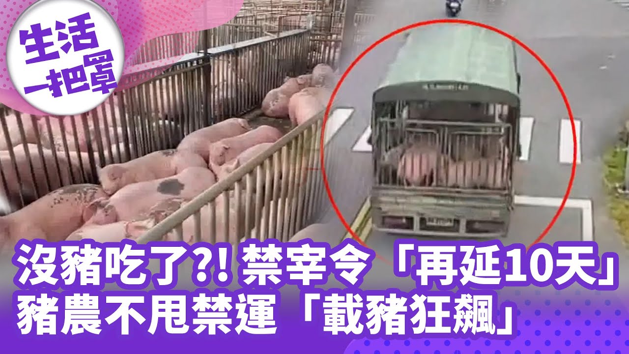 《生活一把罩》豬肉供應受限 禁宰令延長10天，豬農抗拒禁運潮