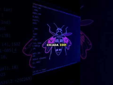 The Mystery of Cicada 3301: A Digital Treasure Hunt 🦗💻