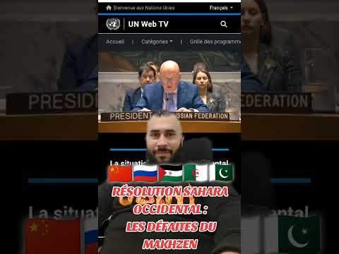 SAHARA OCCIDENTAL : LES DÉFAITES DU MAROC ! ALGÉRIE, RUSSIE, CHINE, AUTODÉTERMINATION, ETC
