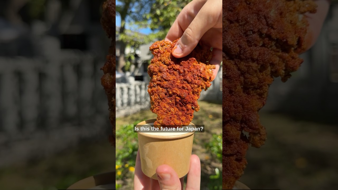 Japan's Future: What Lies Ahead?