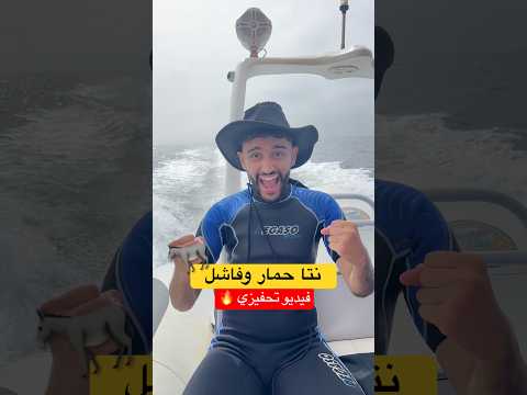 نتا حمار وفاشل 🫏🤣علاش يقولولك هكا ⁉️ #اكسبلور #fry #ضحك #algerie #funny #تيك_توك #vlog #comedy