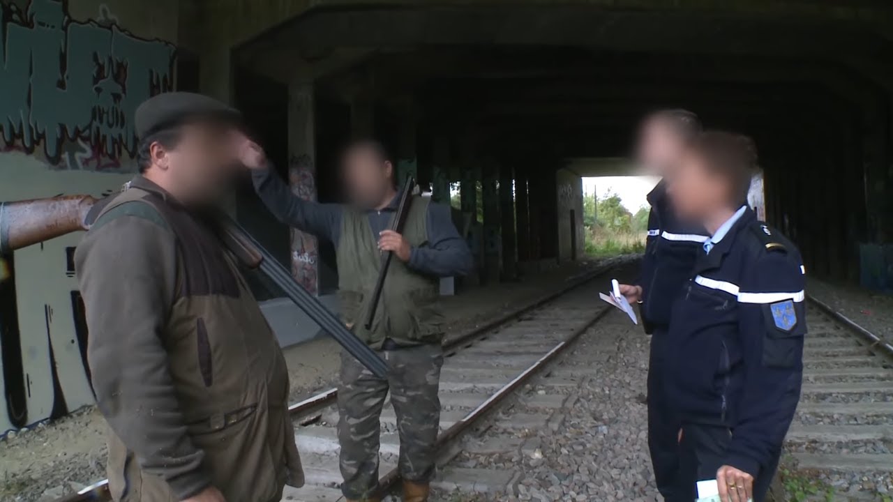 Chasse ouverte : chasseurs confondent voitures et gibier 🚗