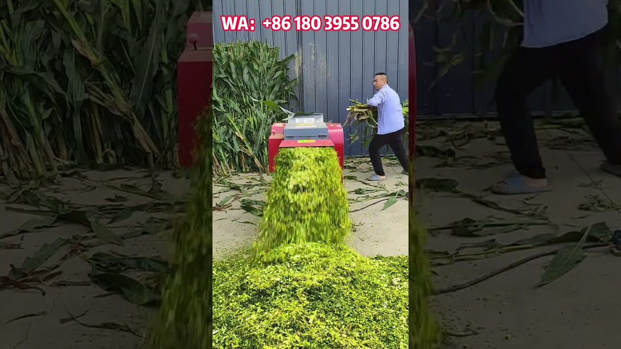 Efficient Horizontal Grass Chopper & Shredder for Livestock Feed 🌱