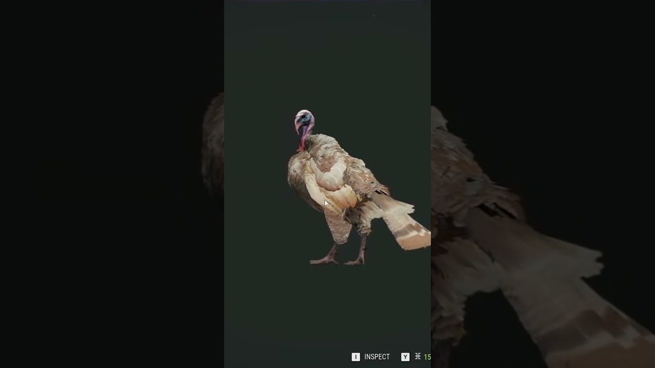 Ran Into My Favorite Turkey 🦃 in The Hunter