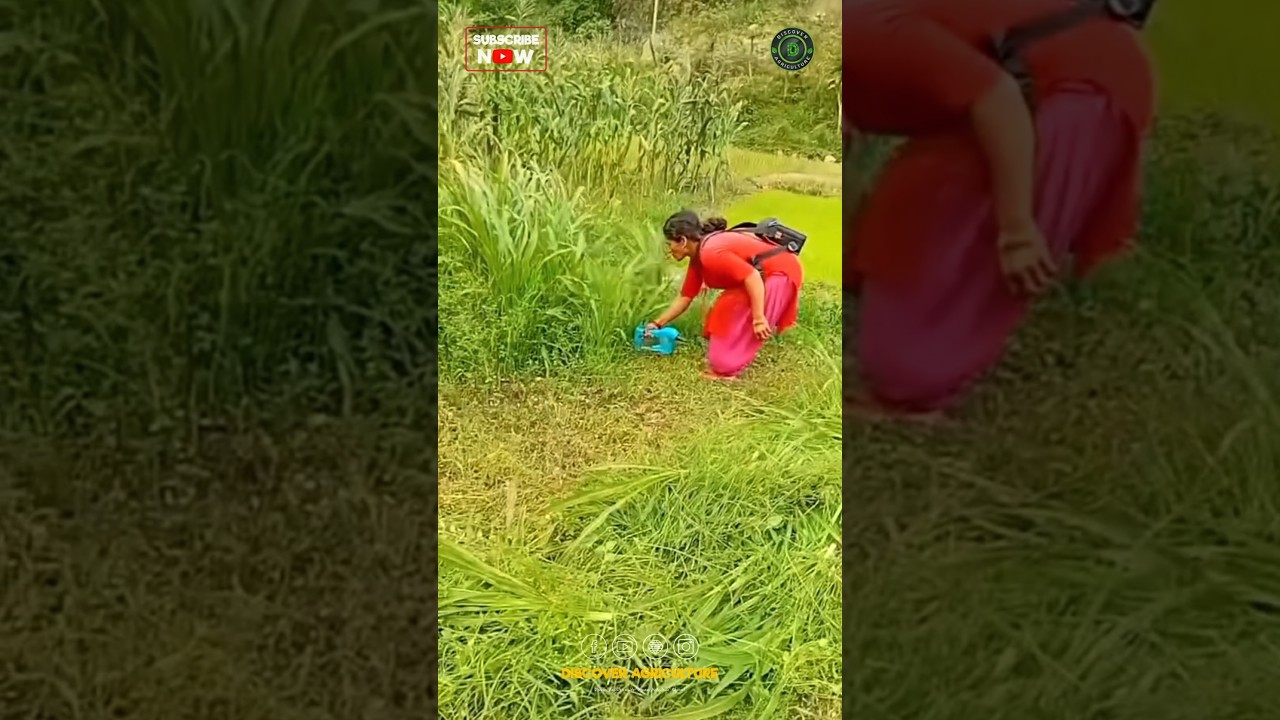 Revolutionize Your Farming with the Best Grass Harvesting Machine 🌱