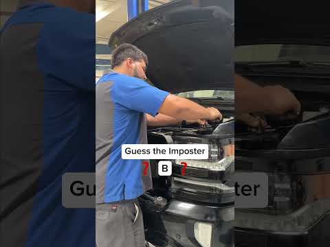 Guess the imposter...