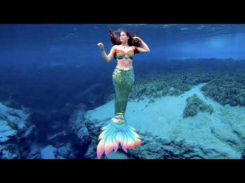 Mermaid Diving in Clear Florida Springs 🧜‍♀️
