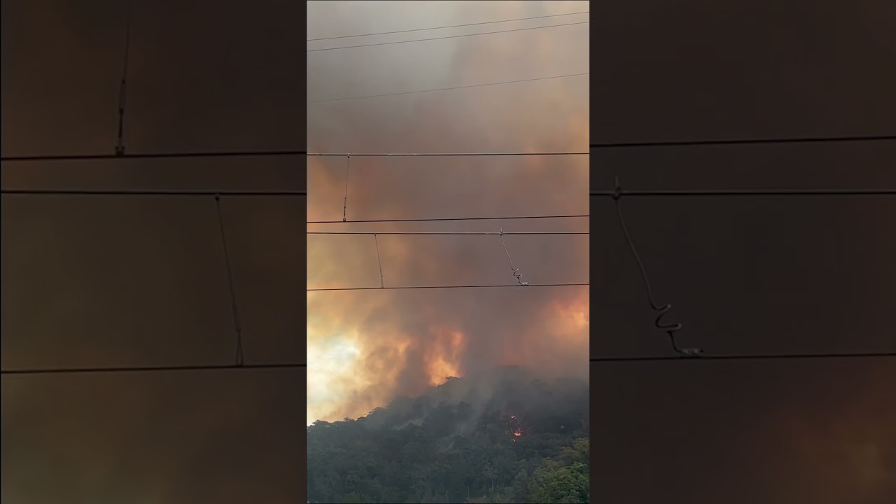 Koolewong Bushfire Destroys Homes on NSW Central Coast 🚒