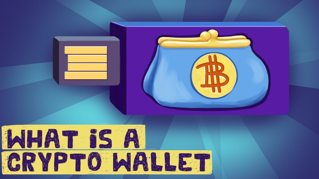 Cryptocurrency Wallets Explained: Types, Examples & How to Use 🔐