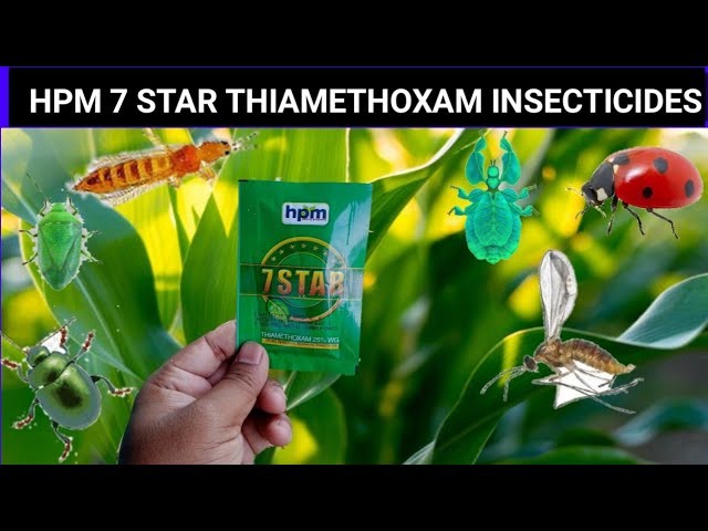 Hpm 7 HPM 7-Star Thimethoxam 25% WG Insecticide 🌱