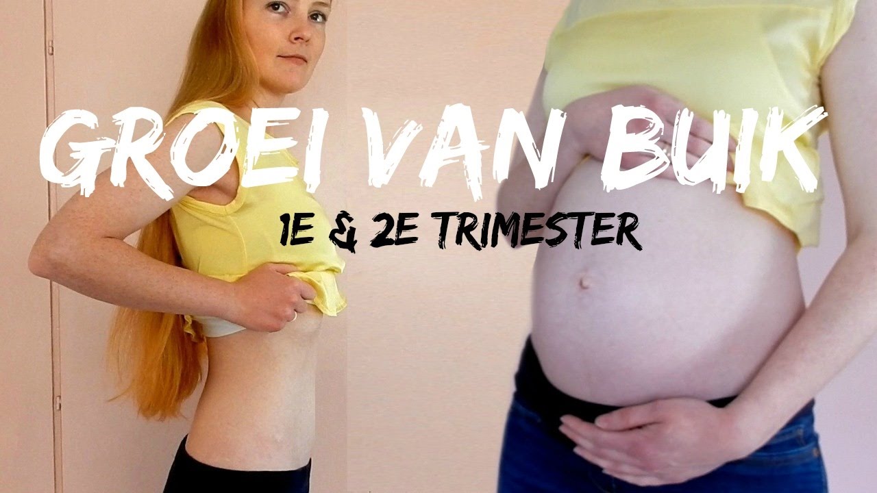 Zwangerschap: Groei van je buik in de eerste 2 trimesters 🤰