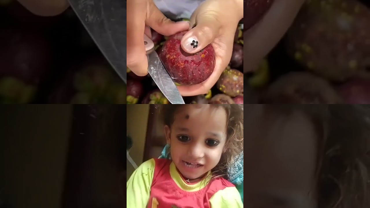 Fruit Cutting & Foodie Vibes 🍉 | EP11 & EP90 Highlights