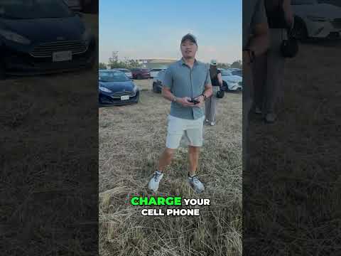 Essential Tips for Attending a Chivas Game