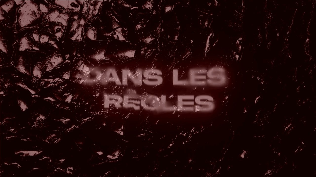 Ziak - Dans les règles (Instrumental) 🎶